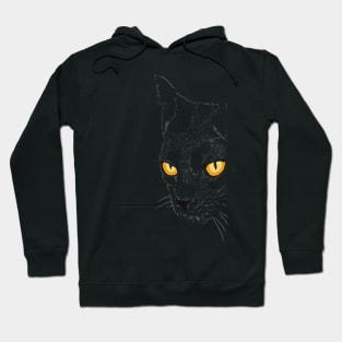 Mysterious Black Cat Hoodie